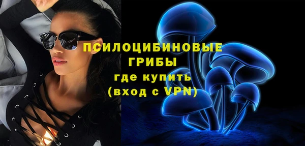 кокс Белокуриха