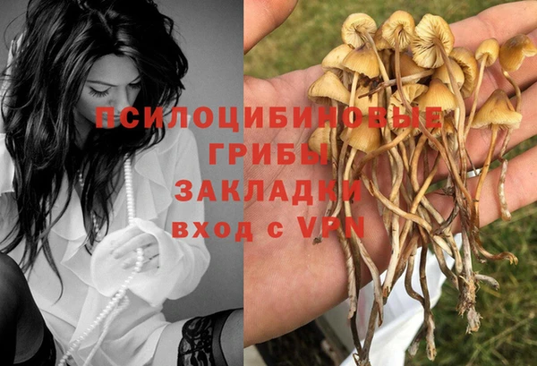 apvp Белоозёрский