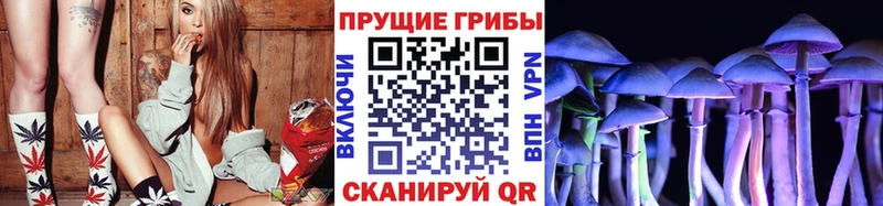 купить закладку  Гай  Псилоцибиновые грибы GOLDEN TEACHER 